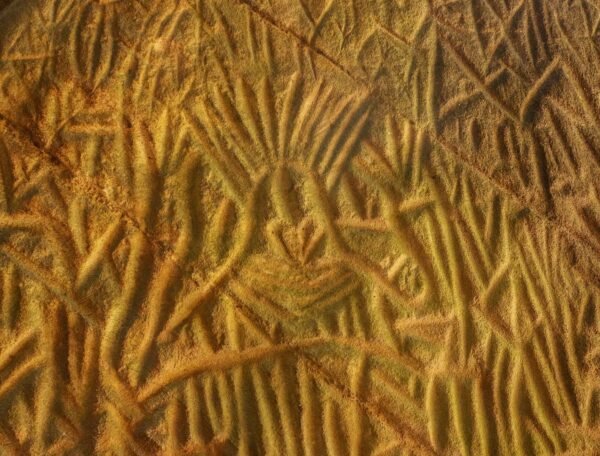 vishnu_kv-petroglyph-2275548